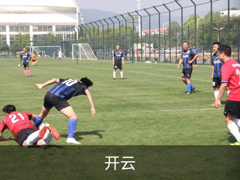 了解开云